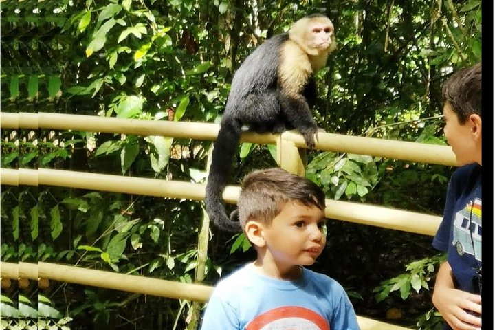 Puntarenas sightseeing tour - Photo 1 of 25